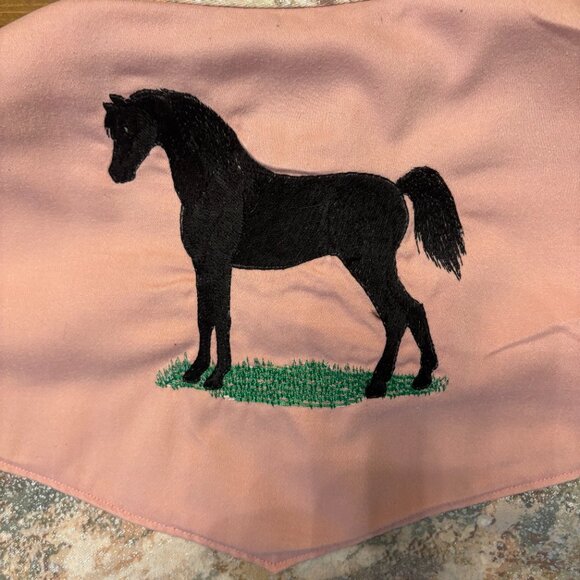 Western Shirt Large - Picture 5 of 5